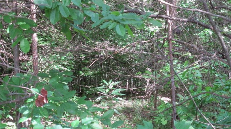 Property image 3 at 20 Dobbins Court, Vale, NC 28168