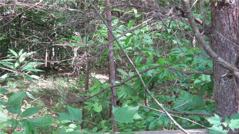 Property image 4 at 20 Dobbins Court, Vale, NC 28168