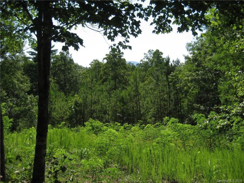 Property image 2 at 7 Woods Laurel Lane, Mill Spring, NC 28756