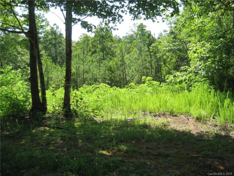 Property image 3 at 7 Woods Laurel Lane, Mill Spring, NC 28756