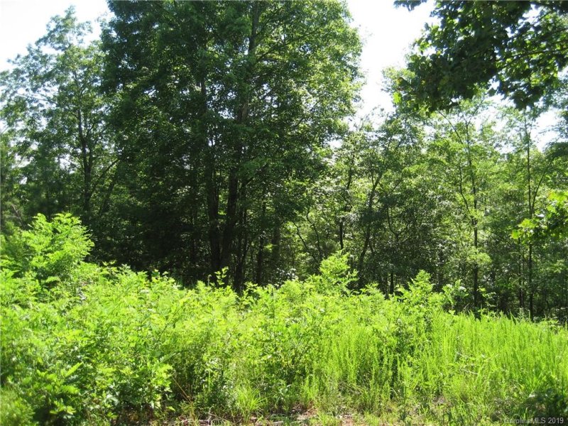 Property image 4 at 7 Woods Laurel Lane, Mill Spring, NC 28756