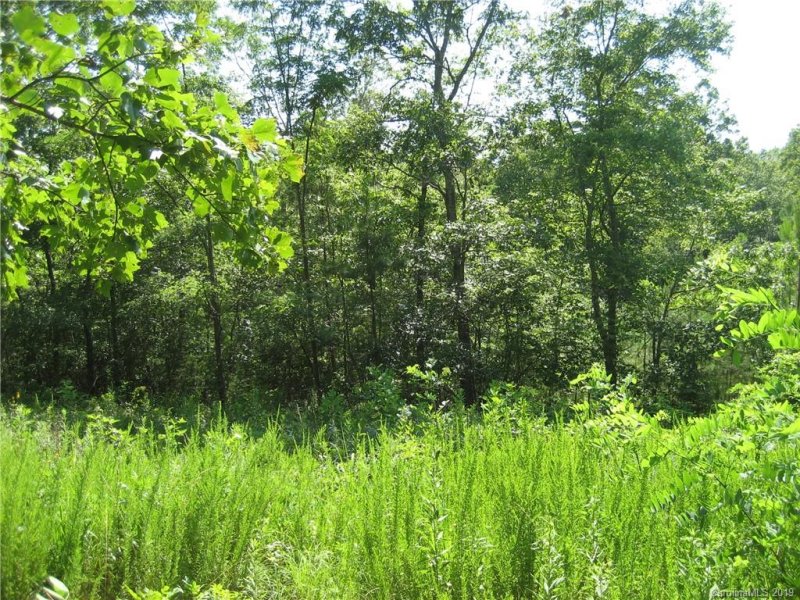 Property image 5 at 7 Woods Laurel Lane, Mill Spring, NC 28756