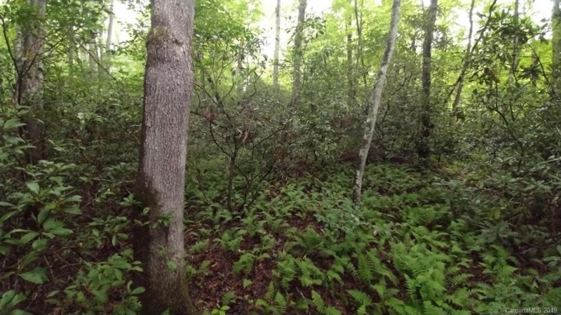 Lots 16 17 Crooked Creek Estates