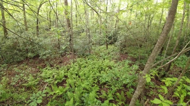 Property image 2 at Lots 16 17 Crooked Creek Estates, Old Fort, NC 28762