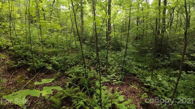 Lot 20 Crooked Creek Estates