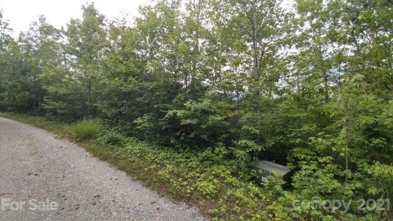 Property image 2 at Lot 20 Crooked Creek Estates, Old Fort, NC 28762