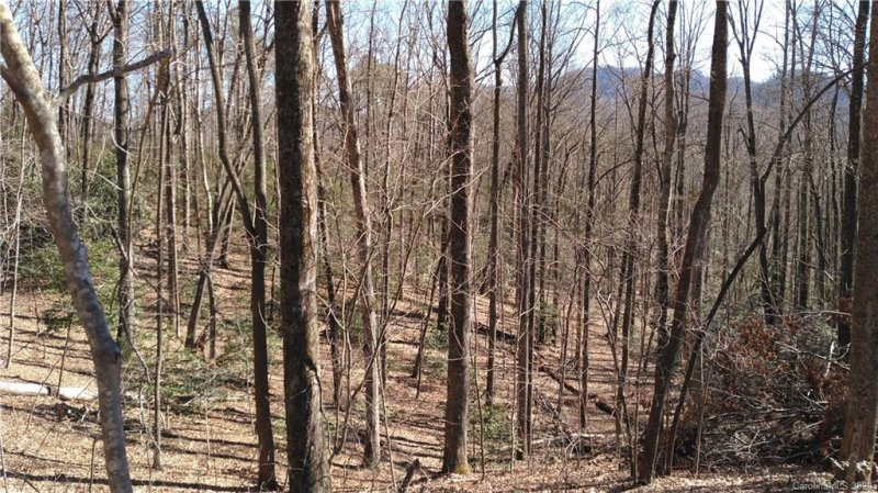 Property image 3 at Lots 28 29 30 Crooked Creek Estates, Old Fort, NC 28762