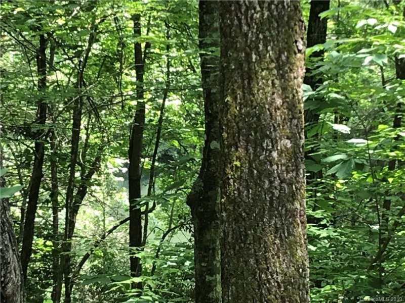 Property image 3 at Tbd Indian Lake Road, Lake Toxaway, NC 28747