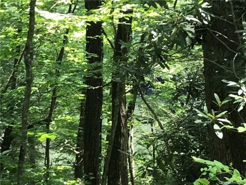 Property image 4 at Tbd Indian Lake Road, Lake Toxaway, NC 28747