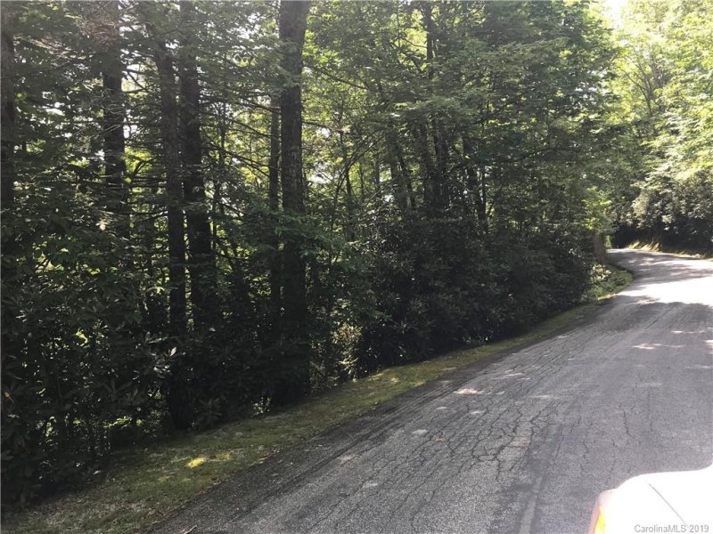 Property image 5 at Tbd Indian Lake Road, Lake Toxaway, NC 28747