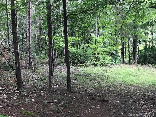 Property image 3 at 0000 Mallard Road, Lake Lure, NC 28746