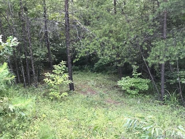 Property image 5 at 0000 Mallard Road, Lake Lure, NC 28746