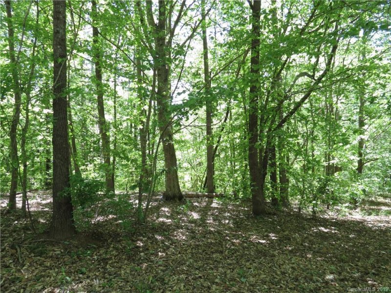 Property image 3 at 16 General Griffith Circle, Rutherfordton, NC 28139