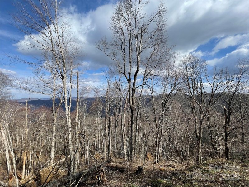 Property image 2 of Lot 39 Ridge Top Circle in Hurricane Ridge Ltd, Clyde, NC 28721