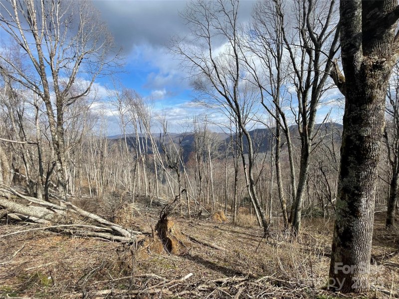 Property image 3 of Lot 39 Ridge Top Circle in Hurricane Ridge Ltd, Clyde, NC 28721