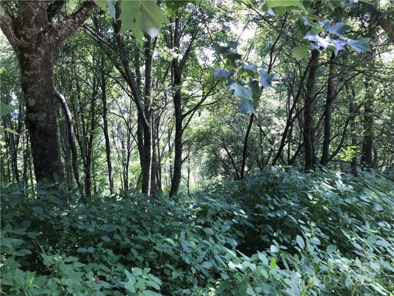 Property image 5 of Lot 39 Ridge Top Circle in Hurricane Ridge Ltd, Clyde, NC 28721