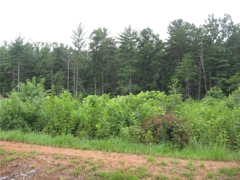 Property image 3 at 1092 Mast Hook Way, Morganton, NC 28655