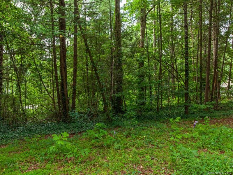 Property image 2 at 0 Drayton Circle, Flat Rock, NC 28731