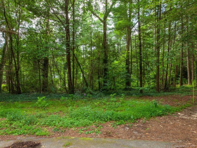 Property image 3 at 0 Drayton Circle, Flat Rock, NC 28731