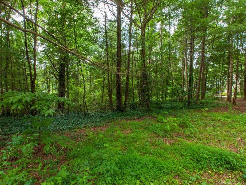 Property image 5 at 0 Drayton Circle, Flat Rock, NC 28731