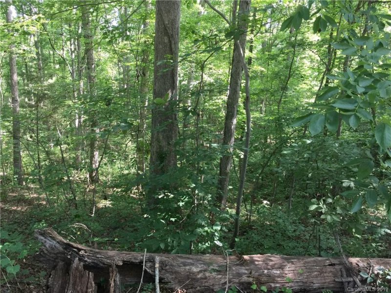 Property image 3 at 3519 Katrina Avenue, Concord, NC 28025