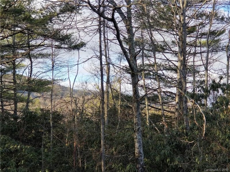 Property image 4 at 7298 Laurel Hill Court, Newland, NC 28657