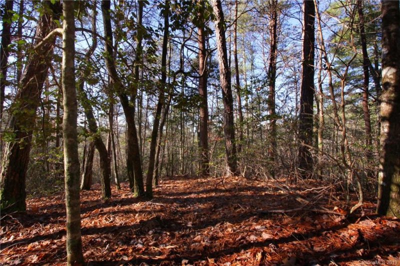 Property image 3 at Lot 58 Turkey Spur Road, Brevard, NC 28712