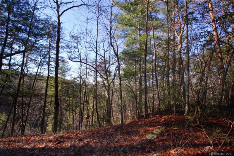Property image 4 at Lot 58 Turkey Spur Road, Brevard, NC 28712