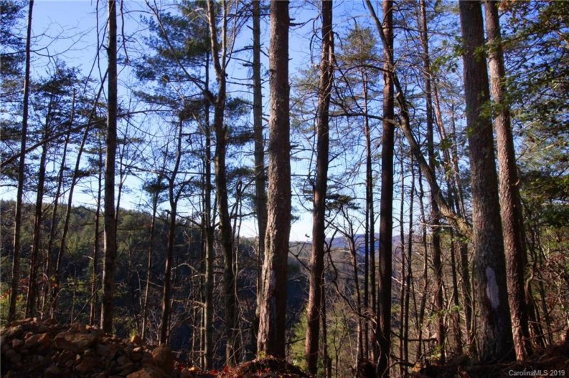 Property image 5 at Lot 58 Turkey Spur Road, Brevard, NC 28712
