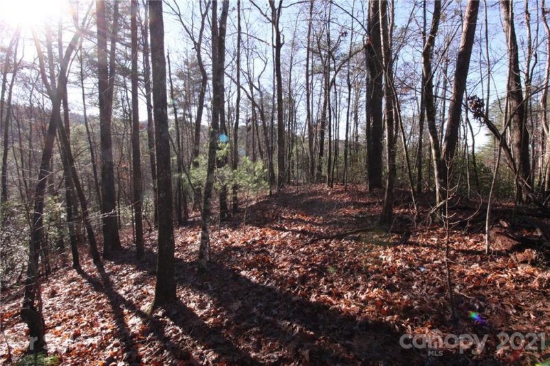 Property image 5 at Lot 27 Oconee Bell Lane, Brevard, NC 28712