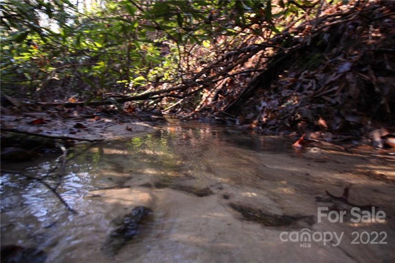 Lot 19 Gastons Bee Gum Road