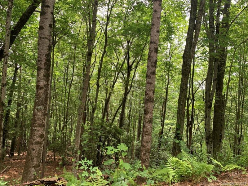 Property image 2 at 6a Gardner Lane, Pisgah Forest, NC 28768