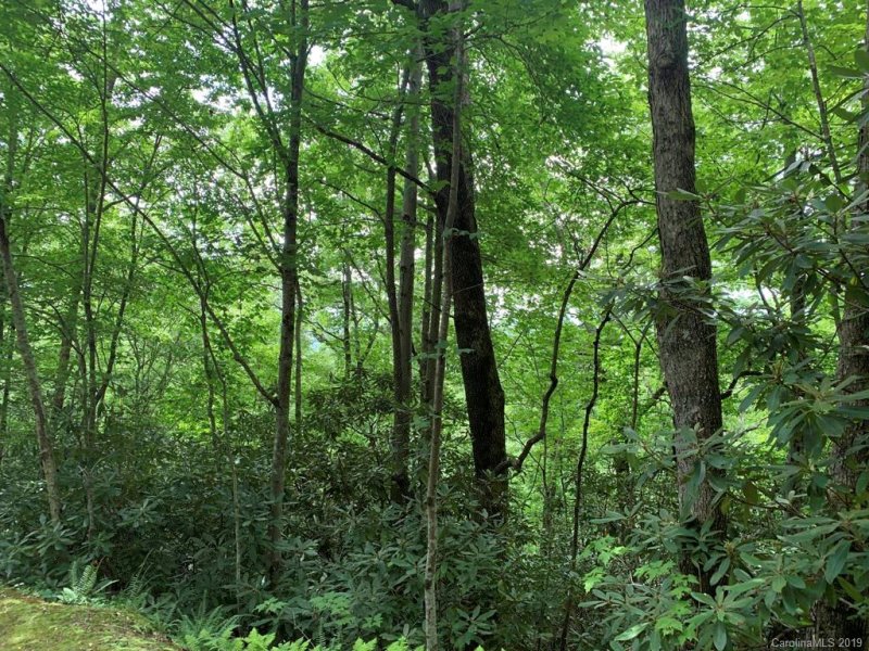 Property image 3 at 6a Gardner Lane, Pisgah Forest, NC 28768