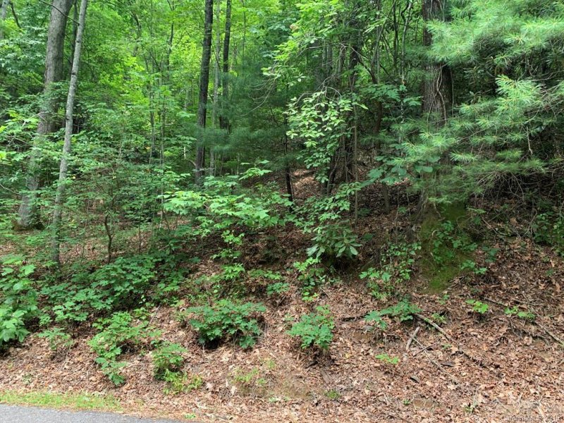 Property image 5 at 6a Gardner Lane, Pisgah Forest, NC 28768