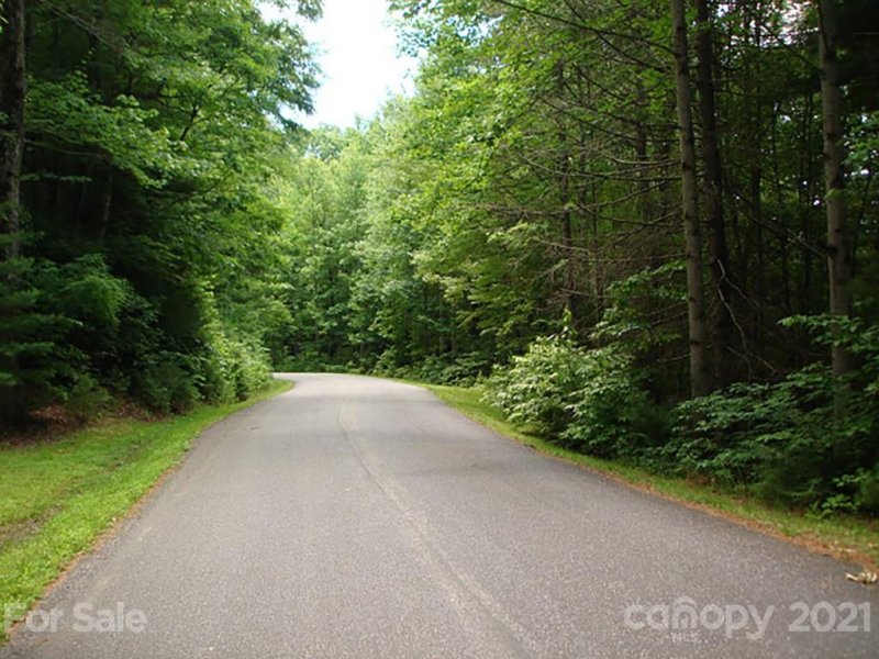 Property image 4 at 134 Eagle Lake Drive, Brevard, NC 28712