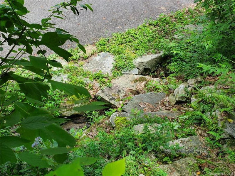 Property image 4 at 55 Chesten Mountain Drive, Asheville, NC 28805