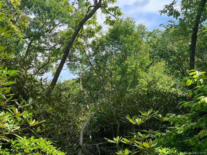 Property image 2 at 10c Reserve Road, Pisgah Forest, NC 28768