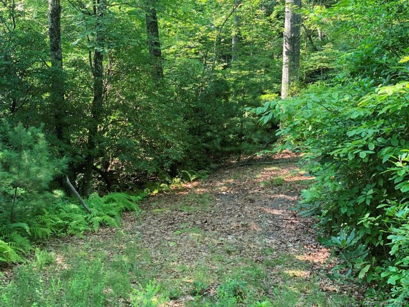 Property image 3 at 10c Reserve Road, Pisgah Forest, NC 28768