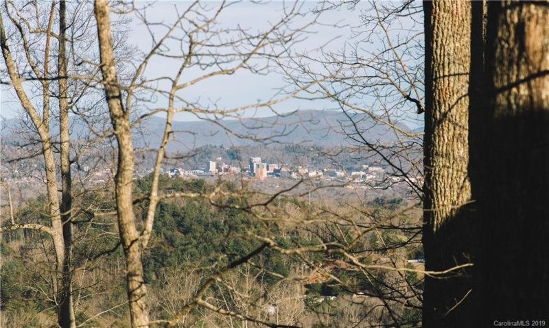 Property image 4 at 61 Ben Lippen School Road, Asheville, NC 28806