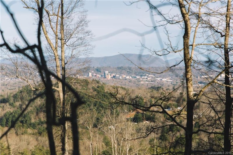 Property image 5 at 61 Ben Lippen School Road, Asheville, NC 28806