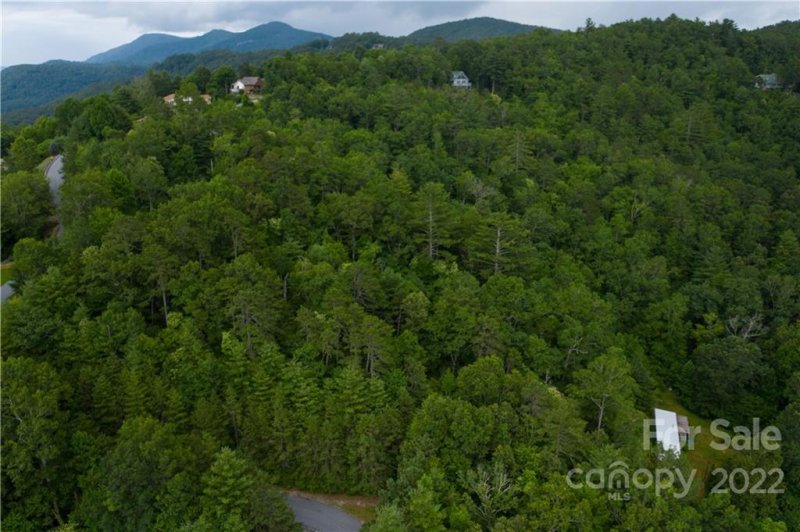 Property image 5 at Lot 33 Morgan Drive, Penrose, NC 28766