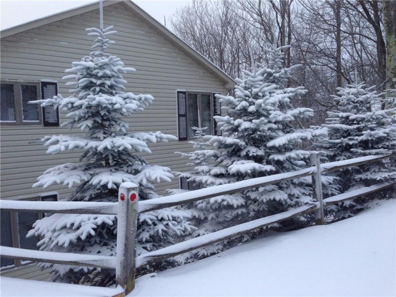 Property image 2 at 133 Lower Grouse Ridge Road, Beech Mountain, NC 28604