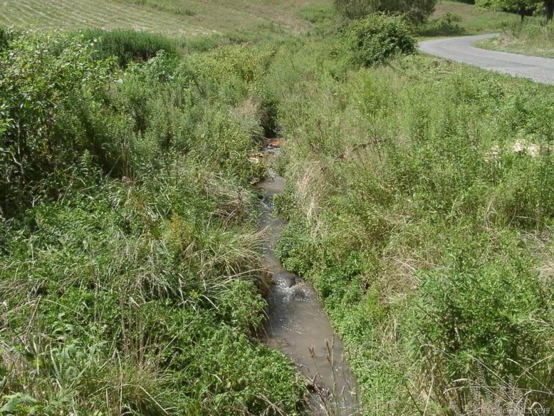 Property image 4 at 108 Serenity Mountain Lane, Mars Hill, NC 28754