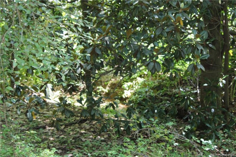 Property image 2 at 1100 Bishop Lane, Mill Spring, NC 28773