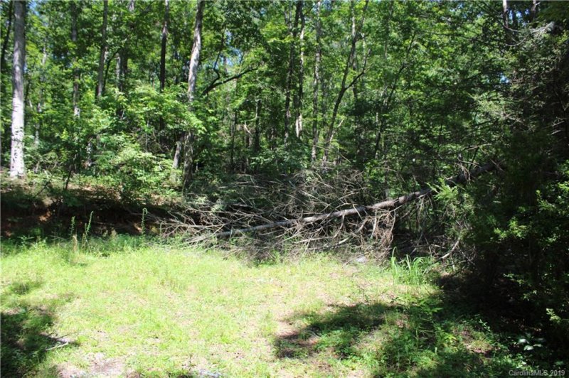 Property image 3 at 1100 Bishop Lane, Mill Spring, NC 28773