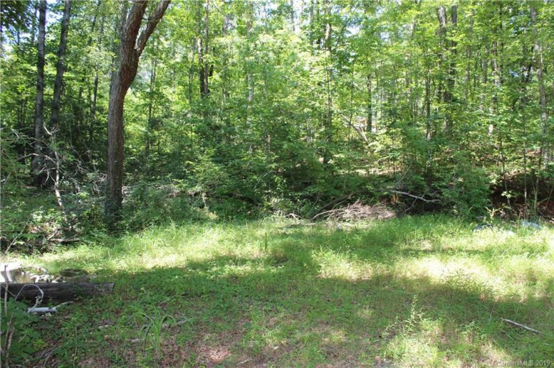 Property image 5 at 1100 Bishop Lane, Mill Spring, NC 28773