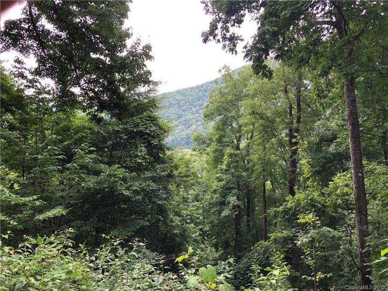 Property image 2 at 325 Hidden Cove Road, Maggie Valley, NC 28751