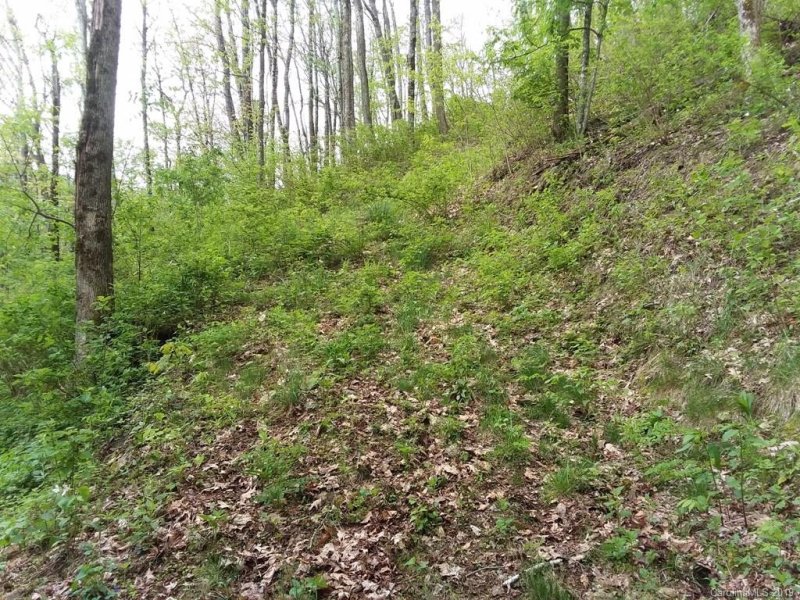 Property image 2 at 47 Foxfire Drive, Maggie Valley, NC 28751