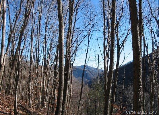 Property image 3 at 47 Foxfire Drive, Maggie Valley, NC 28751