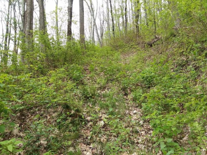 Property image 5 at 47 Foxfire Drive, Maggie Valley, NC 28751